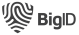 bigID